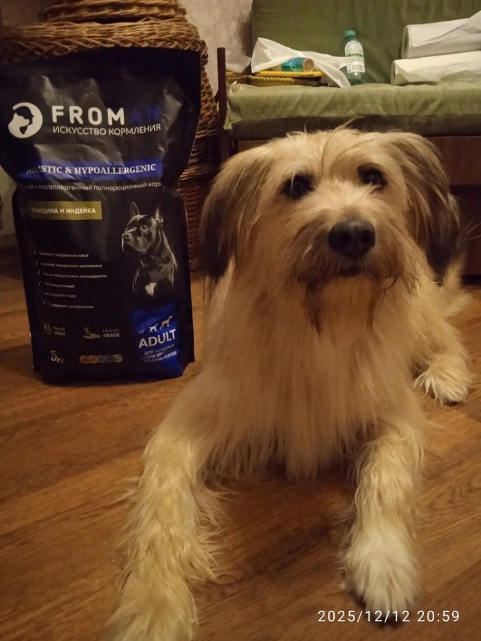 Отзыв Галина Н.