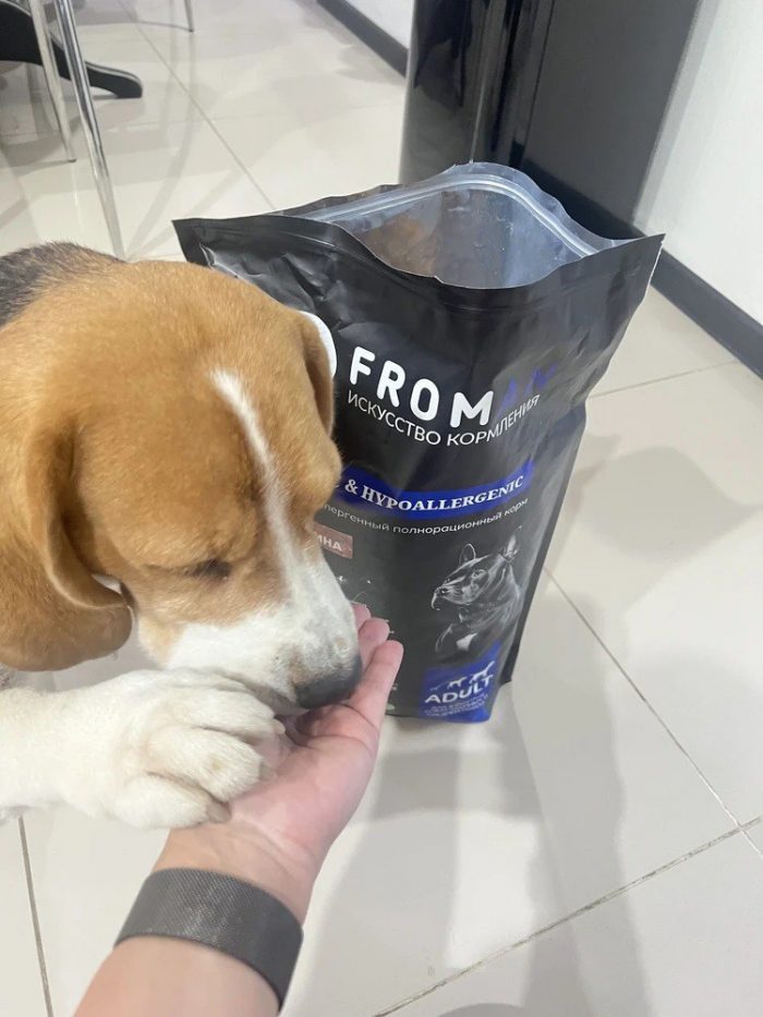 Отзыв Евгения И.