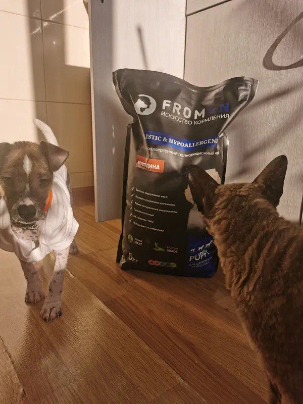 Отзыв Жанна Ш.