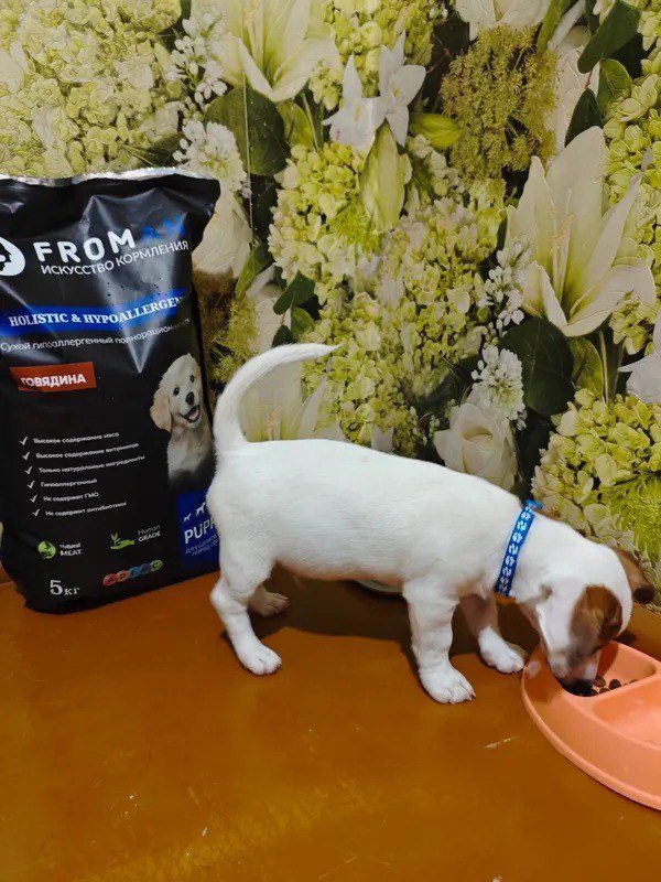 Отзыв Алекса